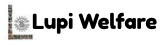 lupiwelfare.org